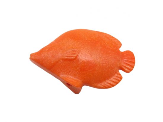 Fisch Schmetterlingsfisch Fisch Schmetterlingsfisch