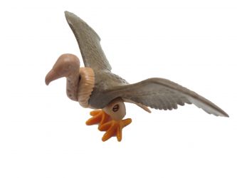 Geier fliegend