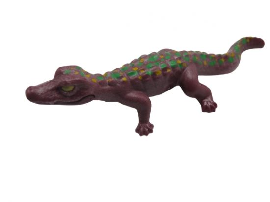 Kaiman kleines Krokodil Kaiman kleines Krokodil