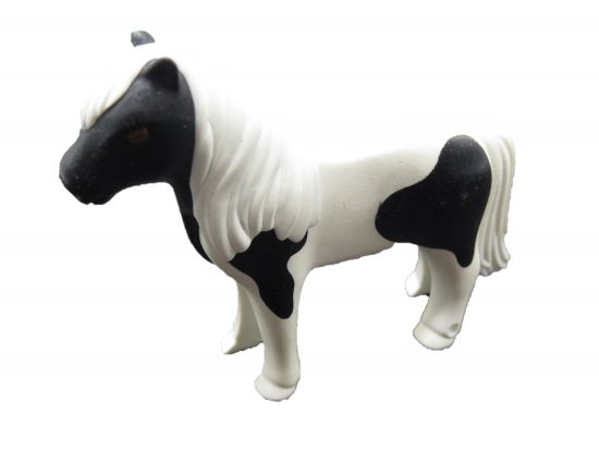 Pony Shetland Pony Shetland