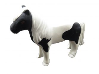 Pony Shetland