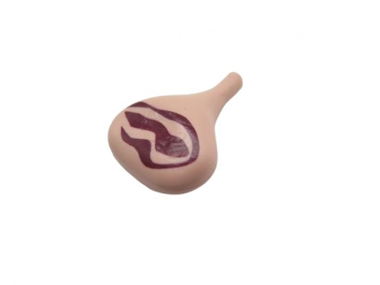 Schinken Fleisch Schinken Fleisch