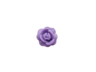 Rose offen