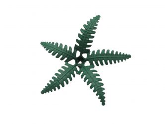 Farn Unterteil 5 Blatt Farn Unterteil 5 Blatt