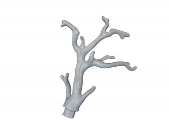 Toter Ast Geäst Baum Toter Ast Geäst Baum
