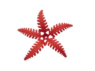 Farn Unterteil 5 Blatt Farn Unterteil 5 Blatt