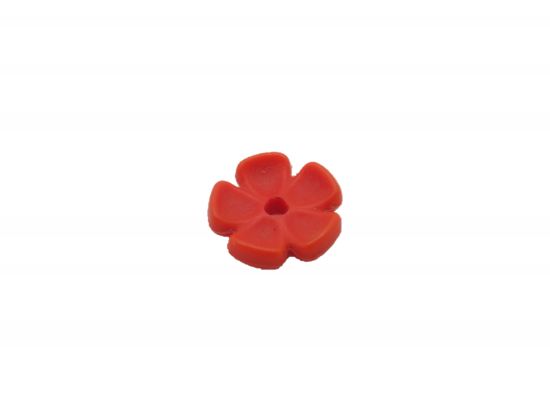 Blüte Blüte