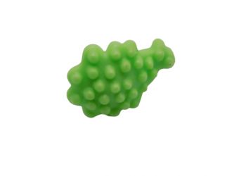 Blume Beeren Dolde