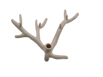 Ast Geäst Baum