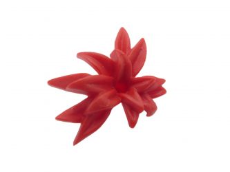 Strauch Busch Blätter