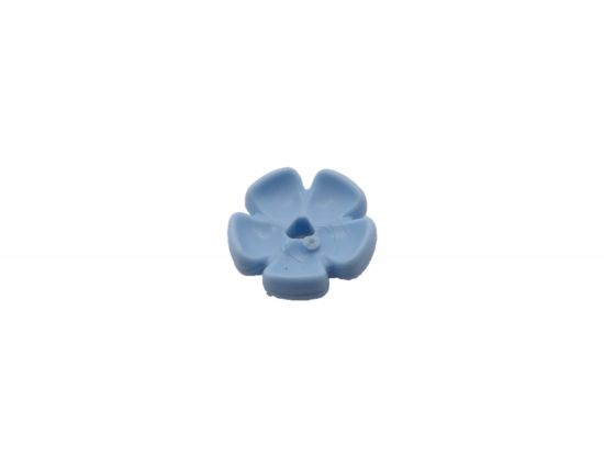 Blüte Blüte