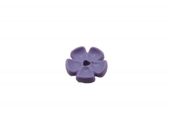 Blüte Blüte