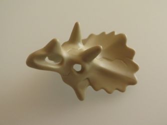 Dinosaurier Kopf Knochen