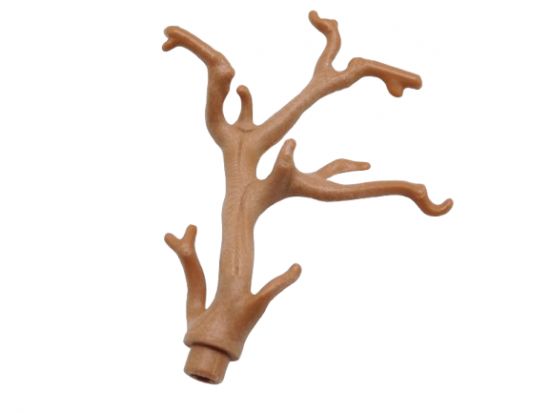 Ast Baum Ast Baum