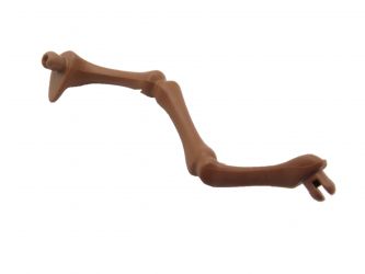 Skelett Bein Dinosaurier