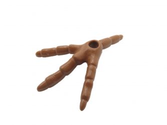 Skelett Fuss Dinosaurier