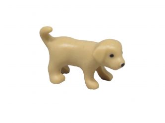 Hund Welpe Golden Retriever