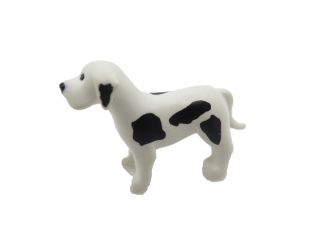 Hund Jung klein Dogge