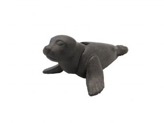 Seehund Seelöwe Robbe