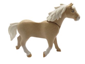 Pferd Haflinger Rodeo