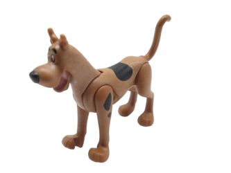 Hund Dogge Scooby-Doo
