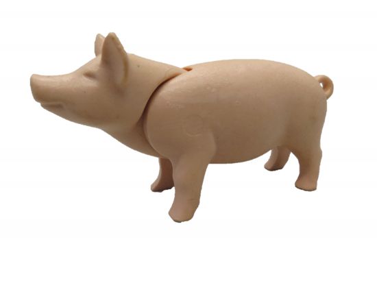 Schwein Schwein