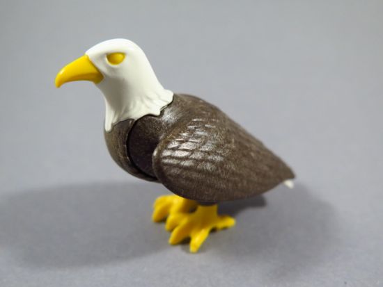 Adler Adler