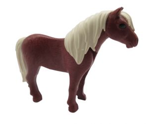 Pferd Pony