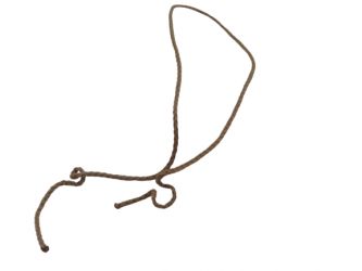 Seil Schnur Band 25 cm