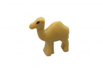 Kamel Dromedar Mikrowelt